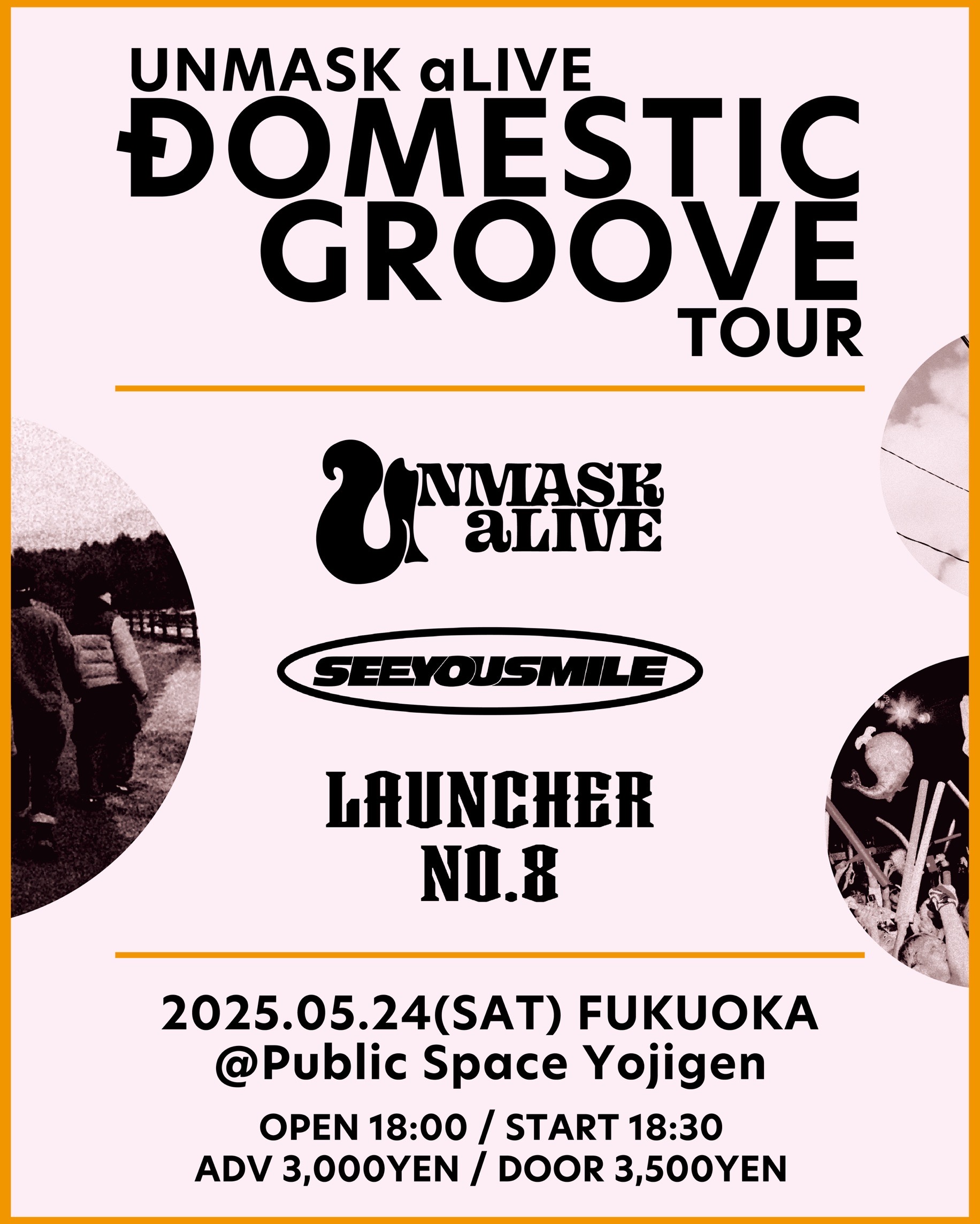 DOMESTIC GROOVE TOUR